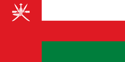 gcc flag