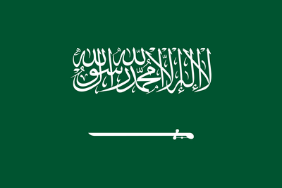 gcc flag